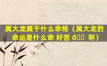 属大龙属于什么命格（属大龙的命运是什么命 好苦 🐠 啊）